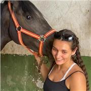 Clases Particulares y Apoyo Escolar Personalizado - Primaria y Secundaria