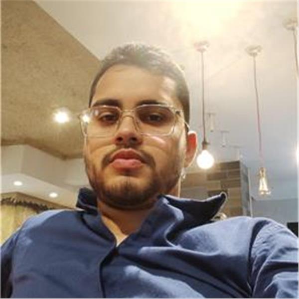 Pedro Henrique Ferreira Da Silva Ferreira Da Silva Professor de