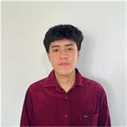 Profesor de inglés, enseño desde básico a avanzado, especializado en negocios