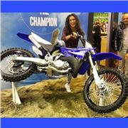 Laureata in Lingue ti aiuta a studiare in modo simpatico ed efficace!