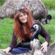 I am a native English speaker, currently home educating my son and looking to help others