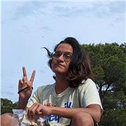 Programador frontend y automatización de procesos