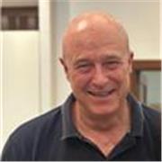 Profesor nativo de 30 años de experiencia da clases particulares o en grupo de todos los niveles y competencias.