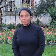 Jamsika