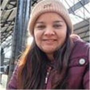 Ingeniero de sistemas Mención Gerencia