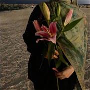 Deutsch als Fremdsprache oder Englisch Nachhilfe für alle