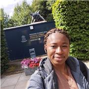 Programming Tutor providing MS SQL lesson for all ages