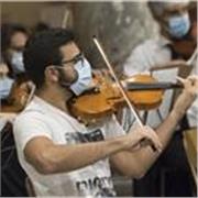 Docente di violino impartisce lezioni di musica, solfeggio, storia della musica per preparazioni esami medie/licei musicali