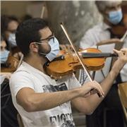 Docente di violino impartisce lezioni di musica, solfeggio, storia della musica per preparazioni esami medie/licei musicali