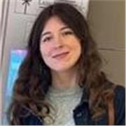 English tutor providing GCSE and A-level lessons