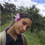 Primaria, Jardín infantil y apoyo escolar