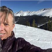 Experienced law professor available to help