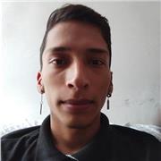 Teletrabaja docente de filosofía sin experiencia