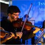 Clases particulares violín y viola clásico, moderno y folk