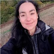 Dicto clases de matemáticas básicas