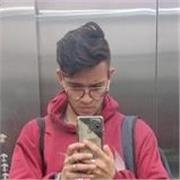 Profesor de matemáticas, economía, ajedrez, historia, guitarra, bajo, finanzas, estadística, Econometria, ciencias sociales