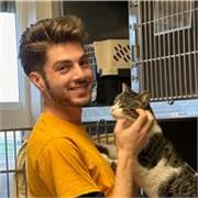 Clases de inglés para estudios, trabajo y conversación con profesor estadounidense certificado (TESOL)