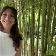 Imparto clases de primaria, por lo que las edades comprenden entre los 6 y 12 años. Me gustan los juegos de mesa por lo que también podría dar clases/jugar con el objetivo de aprender a trabajar cooperativamente o seguir unas instrucciones de juego.