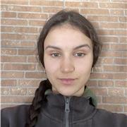 Clases particulares y acompañamiento durante los ejercicios escolares en casa