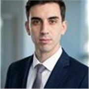 Derecho, ingles, filosofía, ciencias políticas, economía, historia, ciencias sociales, sociología, seguridad, geopolítica