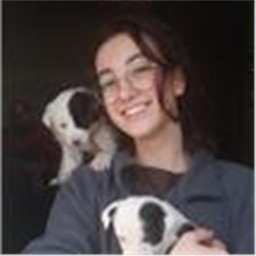 user photo