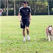 Accounting tutor providing classes for children of all ages