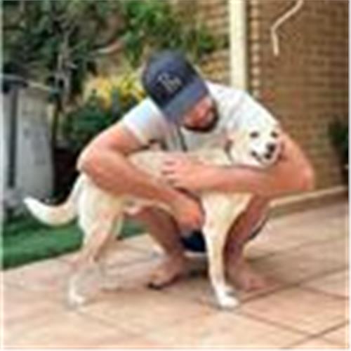 user photo