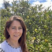 Informática para todos los niveles. Office 365: excel, teams, sharepoint, PowerPoint, OneNote, etc