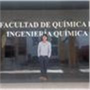 Profesor de matemáticas y lengua desde inicial a secundaria, bachiller de Ing. Agroindustrial en la UNMSM