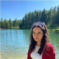 Laureando in informatica offre ripetizioni in matematica, fisica, inglese, informatica