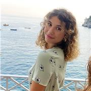 Lezioni di storia dell'arte, italiano, storia per studenti di scuole medie e superiori