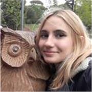 Sono diplomata al liceo linguistico Orazio e offro lezioni online di inglese per aiutare studenti delle scuole elementari e medie.