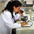 Studentessa in scienze biologiche impartisce lezioni di 20 euro l'ora in biologia