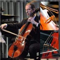 Insegnante con esperienza pluriennale impartisce lezioni di violoncello anche a bambini dai 5 anni in sù con il metodo suzuki (insegnante abilitato), ragazzi e adulti. impartisco lezioni anche di viola da gamba, violoncello barocco e basso continuo, viola