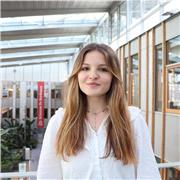 Soutien scolaire et aide aux devoirs (Primaire / Collège / Lycée)