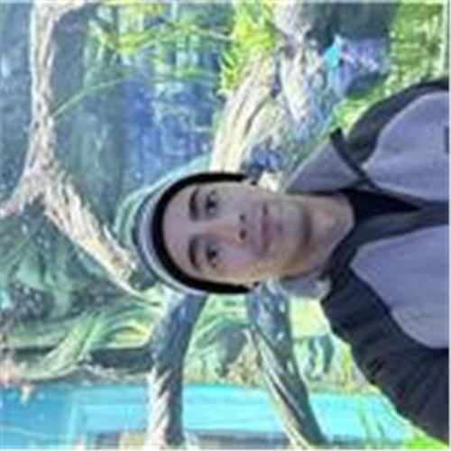 user photo