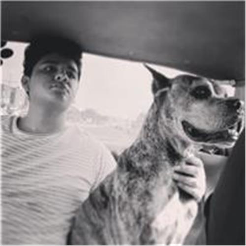 user photo