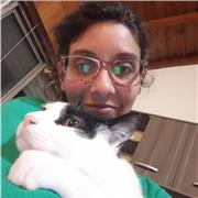 Enseñanza del idioma Ingles de manera dinámica divertida y personalizada