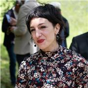 Insegnante di lingue straniere, offro lezioni private di lingua tedesca per principianti. Livelli A1-B1