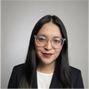 Profesional en negocios internacionales con diplomado en marketing digital y analisis del consumidor