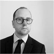 Engaging and enthusiastic law tutor, for a-level or undergraduate 3 years experience as a lecturer in law 
