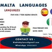 Professeur de langues et civilisations Français, Espagnol, Italien online