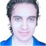 Professeur particulier avec 10 ans d'expérience dans l'enseignement. Cours en ligne uniquement. Bilingue Anglais/Français.