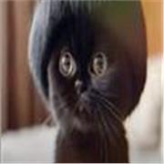 Teaching Russian-any level or age! Traveling language, slang or grammar help🥰 Native speaker