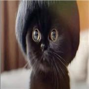 Teaching Russian-any level or age! Traveling language, slang or grammar helpš„° Native speaker