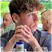 Profesor de Matematicas para IB o GCSE