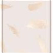 Profesor de español nativo, para enseñar en madrid