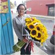 Ingeniería en sistemas computacionales, manejo de paquetería Office nivel básico y medio