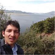 Profesor de inglés en cultura general