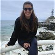 Profesor de español para trabajo remoto. Clases online